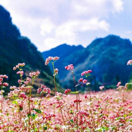 HÀ GIANG - LŨNG CÚ - SÔNG NHO QUẾ - THÁC BẢN GIỐC - PÁC PÓ - HỒ BA BỂ